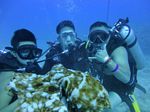 Hawaii Scuba divng 85