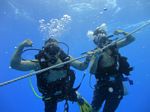 Hawaii Scuba divng 08