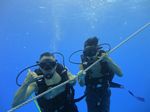 Hawaii Scuba divng 09