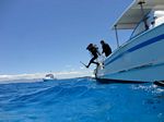 Hawaii Scuba divng 10