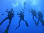 Hawaii Scuba divng 12