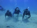 Hawaii Scuba divng 14