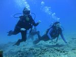 Hawaii Scuba divng 15