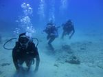 Hawaii Scuba divng 16