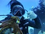 Hawaii Scuba divng 28