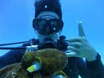 Hawaii Scuba divng 29