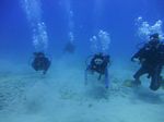 Hawaii Scuba divng 33