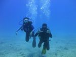 Hawaii Scuba divng 34