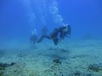 Hawaii Scuba divng 35