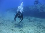 Hawaii Scuba divng 43