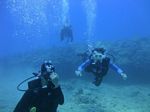 Hawaii Scuba divng 44