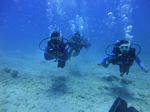 Hawaii Scuba divng 45