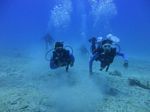 Hawaii Scuba divng 46