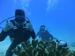 Hawaii Scuba divng 52