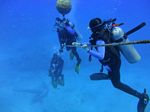 Hawaii Scuba divng 53