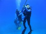 Hawaii Scuba divng 54