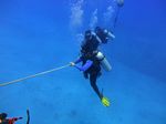 Hawaii Scuba divng 56