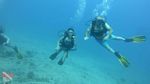 Oahu scuba 14