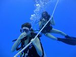 Hawaii Scuba divng 12