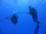 Hawaii Scuba divng 13