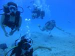 Hawaii Scuba divng 17