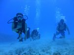 Hawaii Scuba divng 18