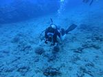 Hawaii Scuba divng 20