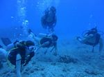 Hawaii Scuba divng 22