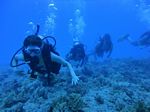 Hawaii Scuba divng 23