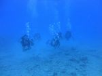 Hawaii Scuba divng 24