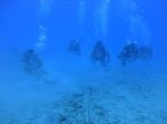 Hawaii Scuba divng 25