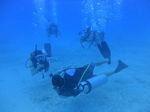 Hawaii Scuba divng 26