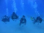 Hawaii Scuba divng 37