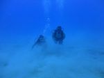 Hawaii Scuba divng 38