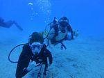 Hawaii Scuba divng 39