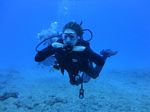 Hawaii Scuba divng 40