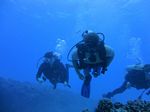 Hawaii Scuba divng 47