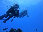 Hawaii Scuba divng 48