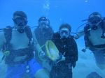 Hawaii Scuba divng 51