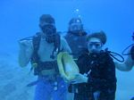 Hawaii Scuba divng 51