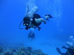 Hawaii Scuba divng 53