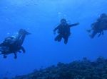 Hawaii Scuba divng 56