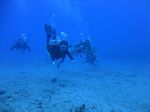 Hawaii Scuba divng 57