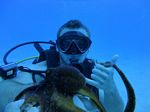 Hawaii Scuba divng 66