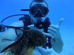 Hawaii Scuba divng 67