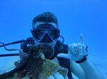 Hawaii Scuba divng 73