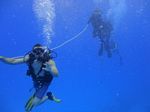 Hawaii Scuba divng 77