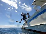 Hawaii Scuba divng 11
