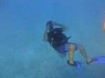 Hawaii Scuba divng 13