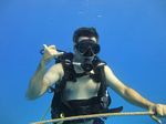 Hawaii Scuba divng 14